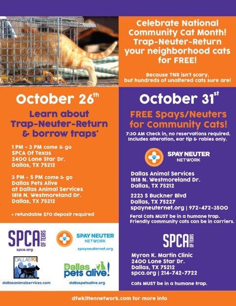 TNR Flyer.jpg