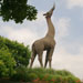 Giraffe sculpture at the main entrance to the Dallas Zoo