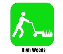 HighWeeds.jpg