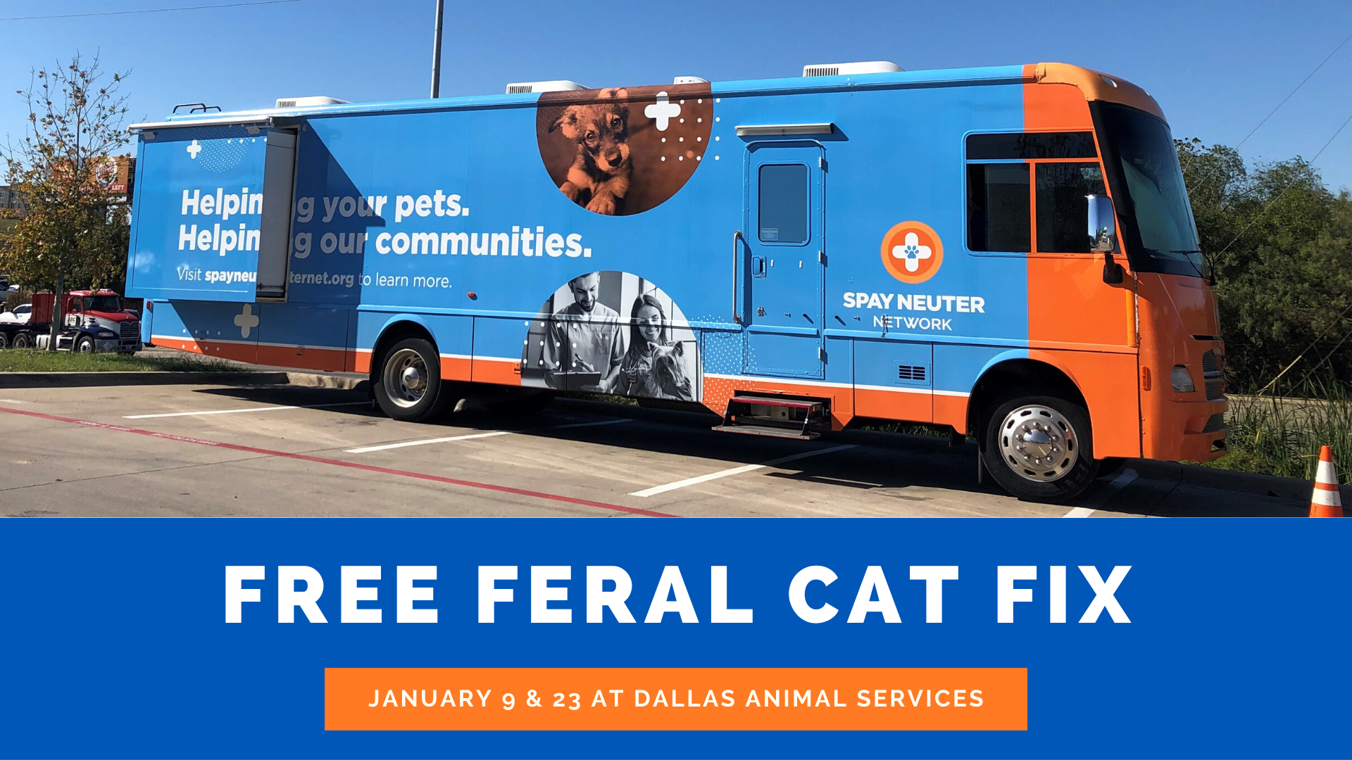 Free Feral Cat Fix.png