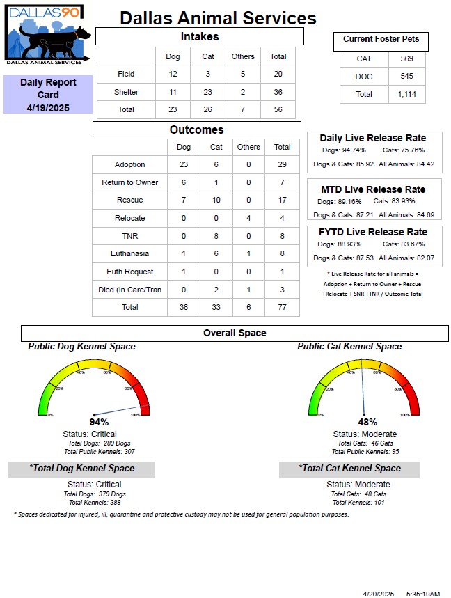 Daily Report Card 04 19 2025.jpg