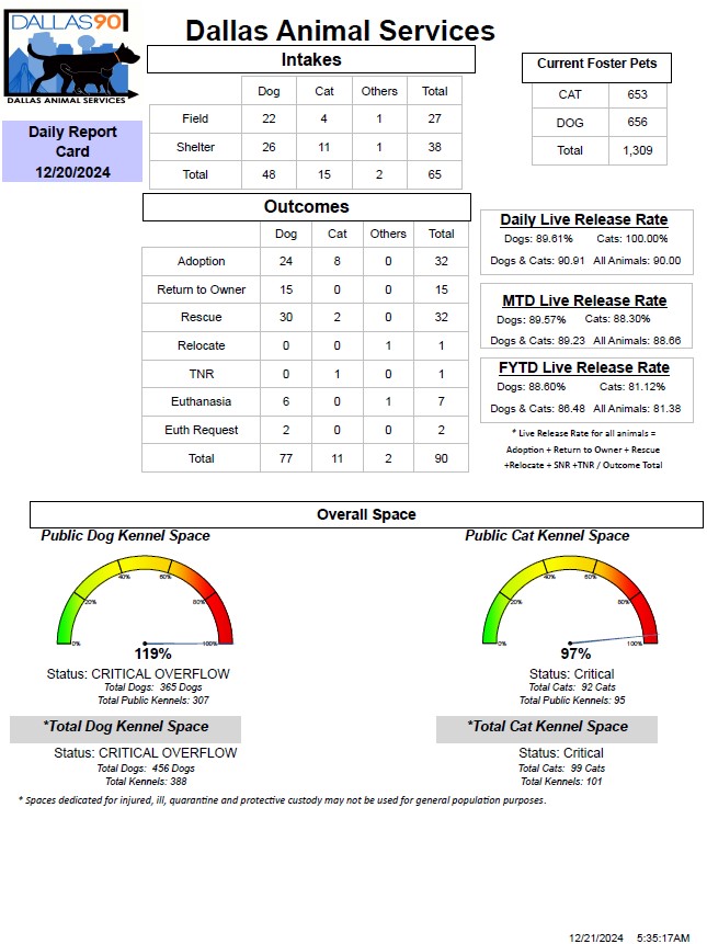 Daily Report Card 12 20 2024.jpg