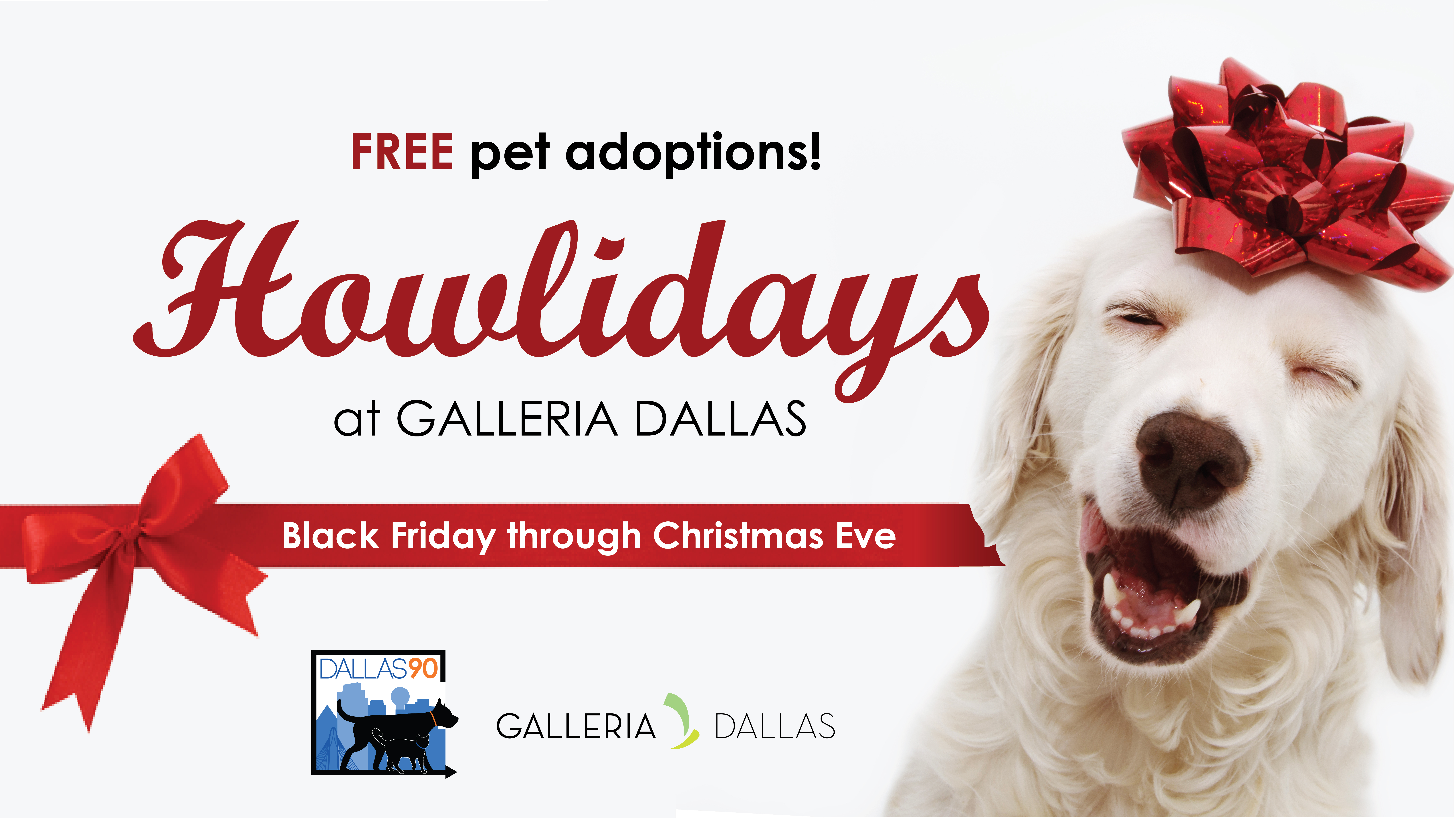 Galleria Final Social Graphics-02.jpg