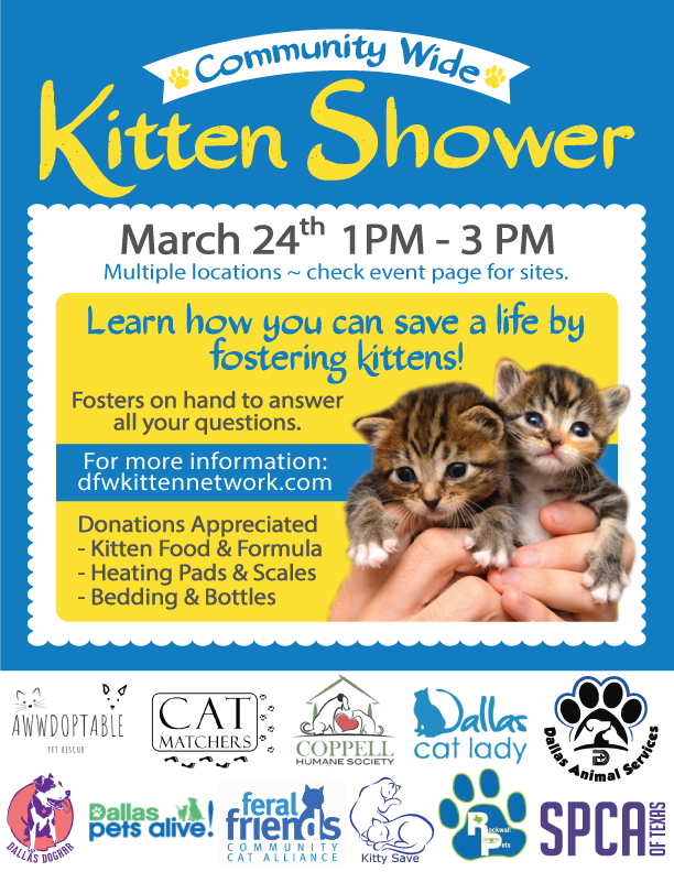kitten-shower-2019 (1).jpg