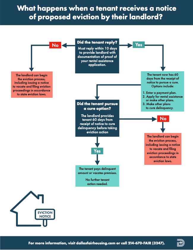 Temporary Possible Eviction Flow Chart ENGLISH.jpg
