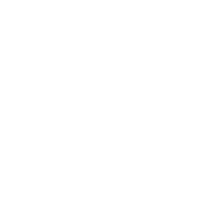 Budgeting for Equity Investments chart