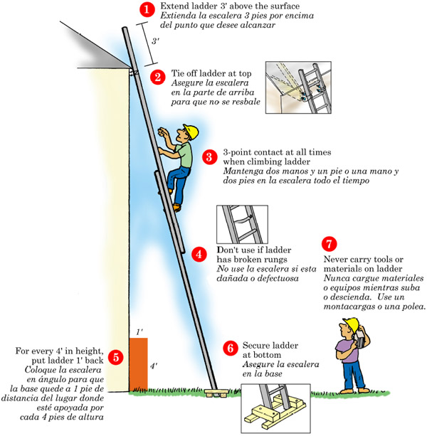 Ladders.jpg