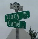 Tracy and Camel.jpg