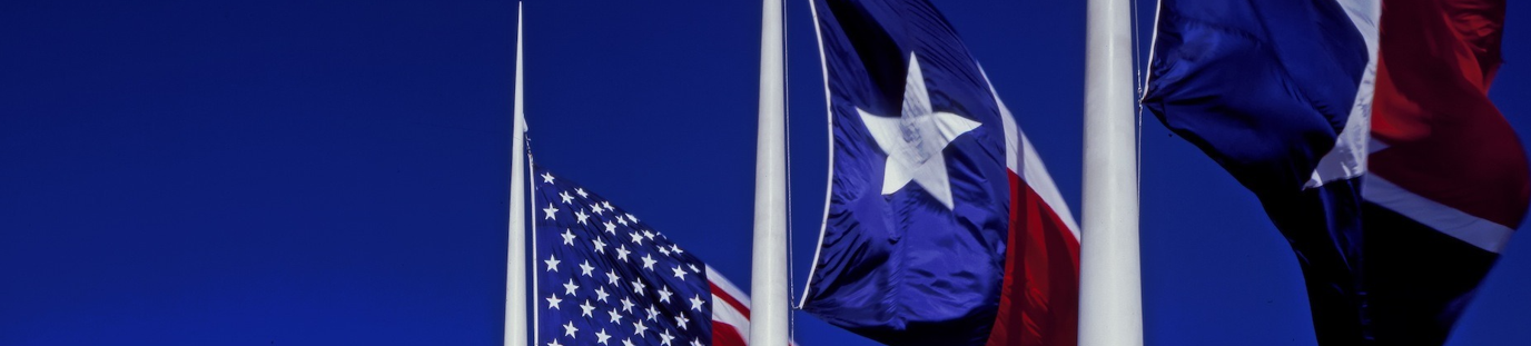 DalTxAmer flags.png