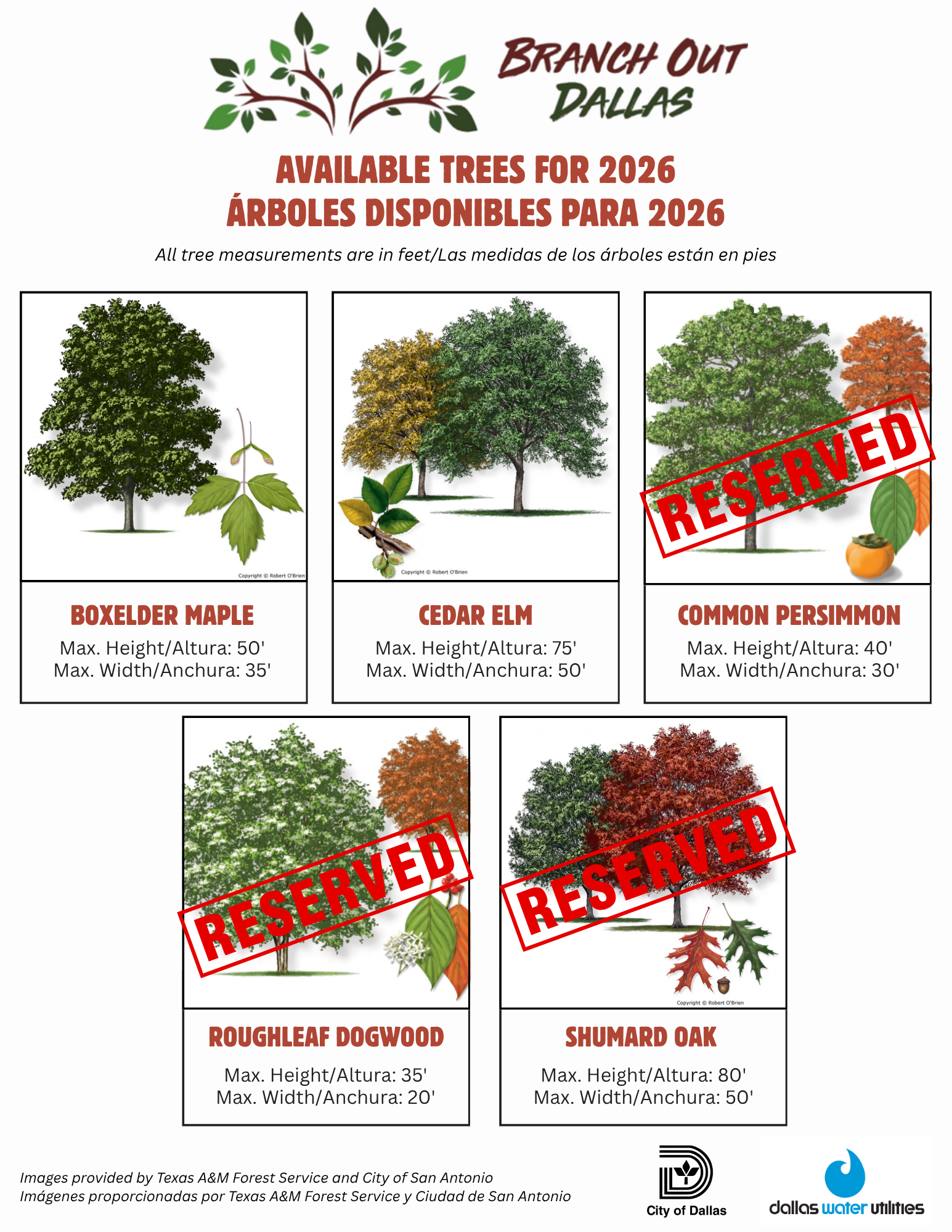 Available Trees Flyer -2026 9.17.png