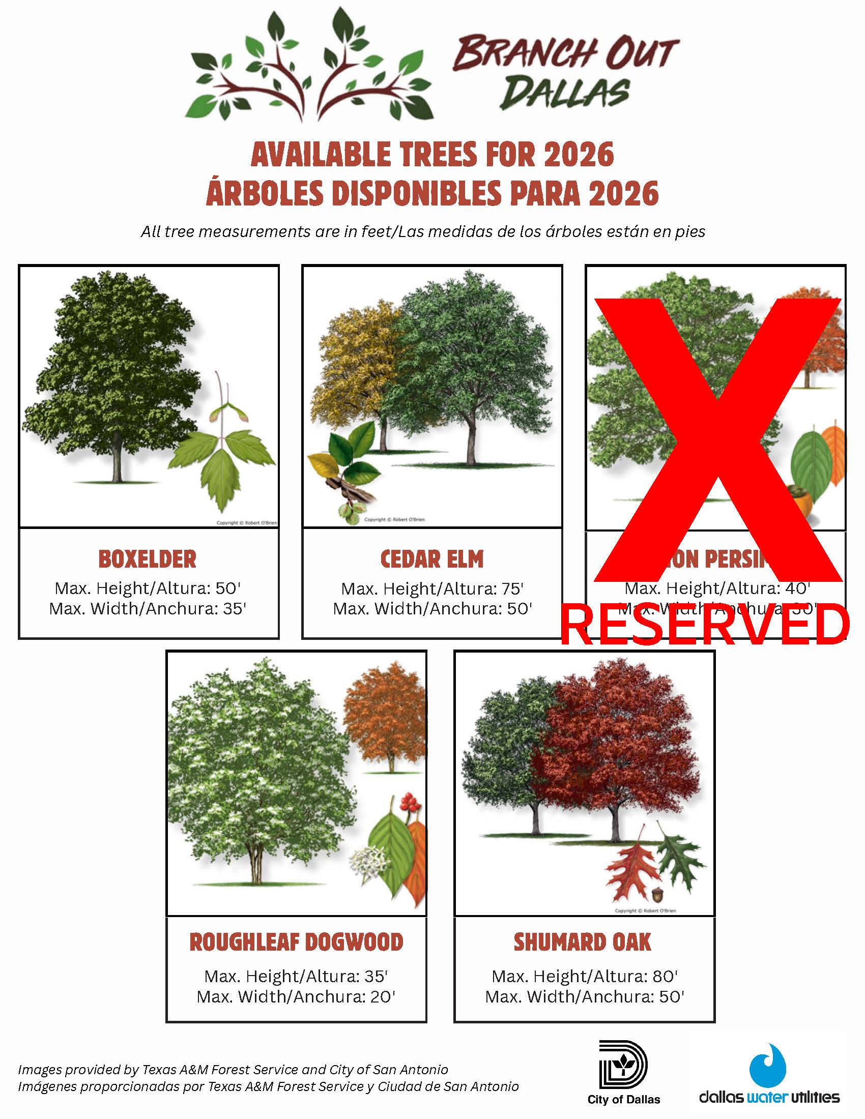 Available Trees Flyer -2026_v2.jpg