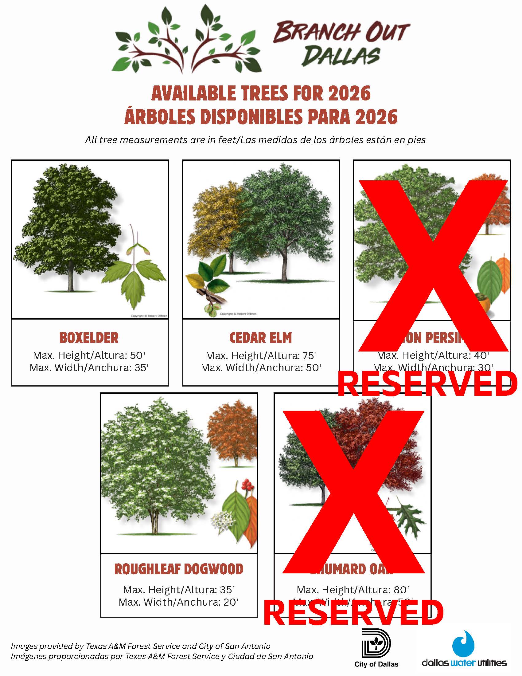 Available Trees Flyer -2026_v3.jpg