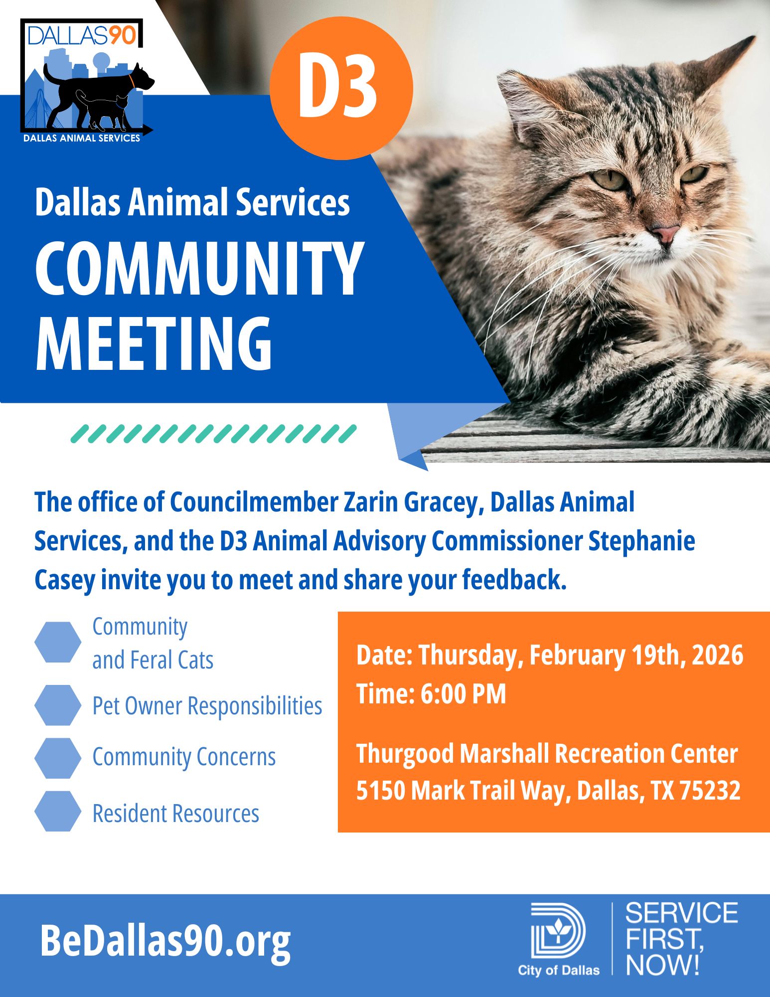 D3 Community Cat Town Hall January 2026 ENGLISH.jpg