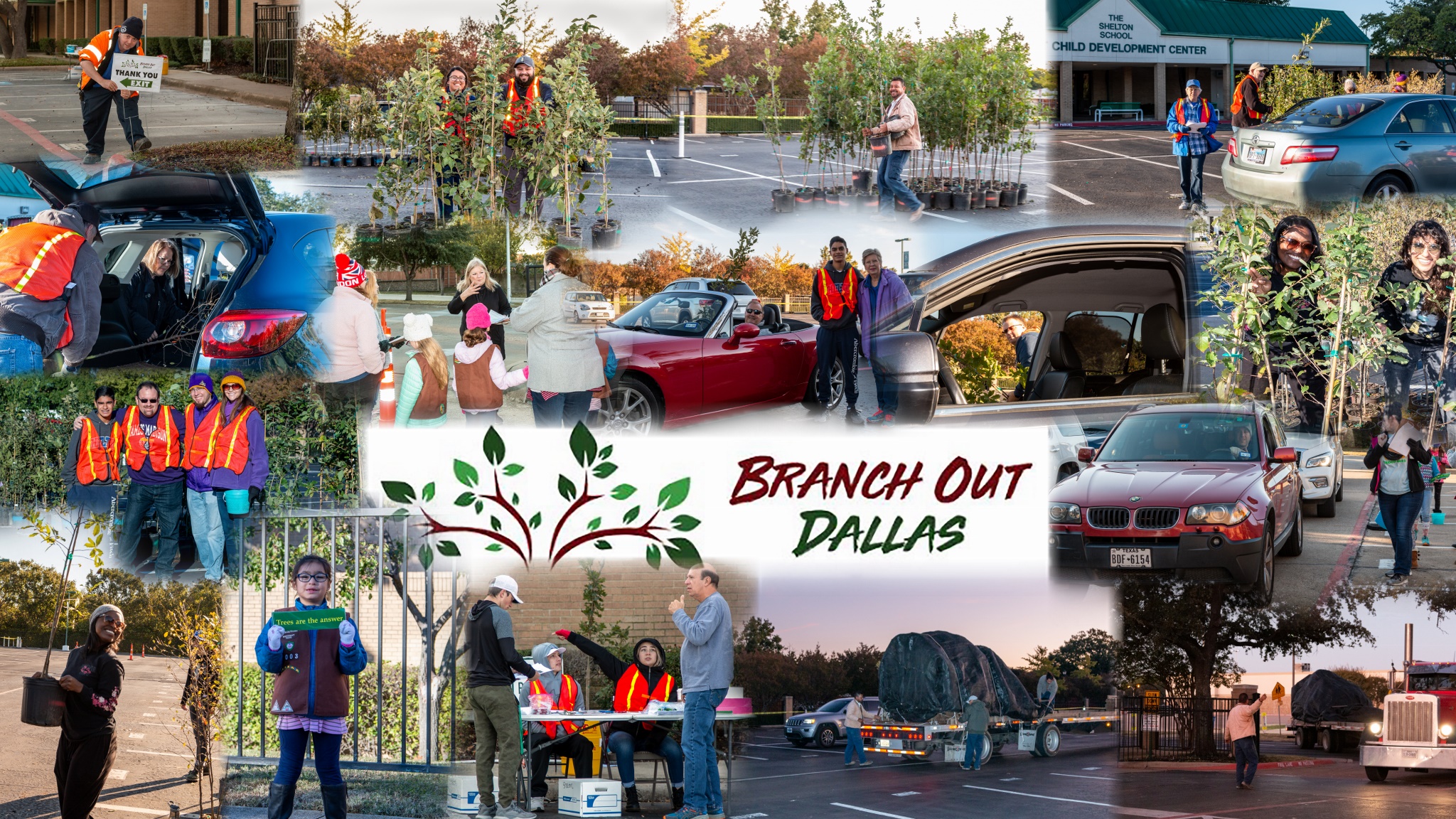 City of Dallas Forestry about
