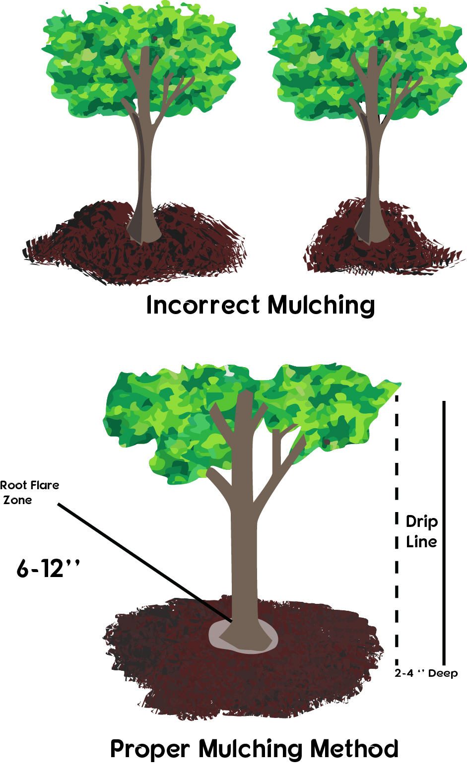 mulching.jpg