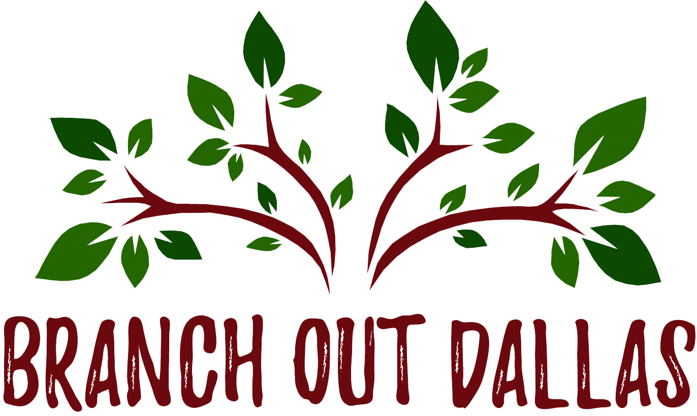 2019 Branch Out logo HORIZONTAL WORDS Transparent.png