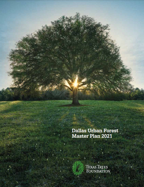 Dallas Urban Forest master Plan